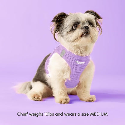 Downtown Pet Supply Step in Dog Harness for Medium Dogs - Adjustable, Escape Proof Dog Harness with Reflective Trim - All-Weather, Fast-Drying Padded Mesh Fabric - Lilac, M