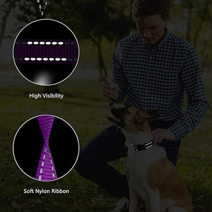 Martingale Dog Collar and Leash Set Martingale Collars for Dogs Reflective Martingale Collar for Small Medium Large Dogs(Purple&S)