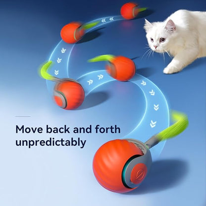 paeudomrf Interactive Cat Toy Ball for Indoor Cats, 2PCS Automatic Interactive Cat Ball Toys with 3 Tails Each Speedy Balls Rechargeable Motion Activated Cats Rolling Balls Toys to Keep Them Busy