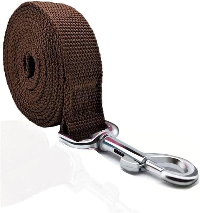 TAIAN 4FT/5FT/6FT Strong Dog Leash, Nylon Dog Leashes for Small Medium Large Dogs (1 in x 6 ft, Brown)