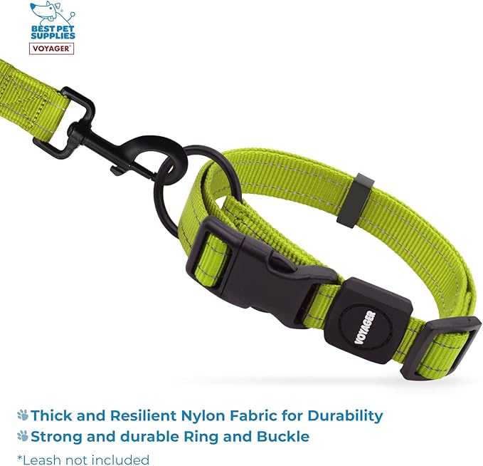Best Pet Supplies Voyager Reflective Dog Leash or Collar with Neoprene Handle, for Small, Medium, and Large Breed Puppies, Cute and Heavy Duty for Walking, Running and Training - Lime Green, M