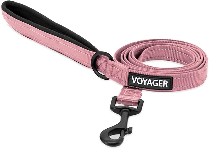 Best Pet Supplies Voyager Reflective Dog Leash or Collar with Neoprene Handle, for Small, Medium, and Large Breed Puppies, Cute and Heavy Duty for Walking, Running and Training - Pink Leash, L