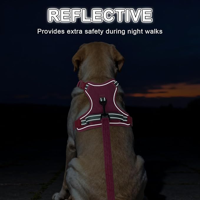 BEAUTYZOO No Pull Dog Harness Large, Adjustable Dog Harness and Leash Set -Easy Wearing with 3 Buckles/Control Handle,No Choke Soft Padded Reflective Pet Vest for Training Walking Hiking,Rose M