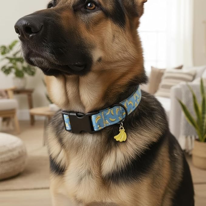 Dog Collar, Cute Banana Fruit Pattern, Spring Summer Design for Small Medium Large Dogs, M