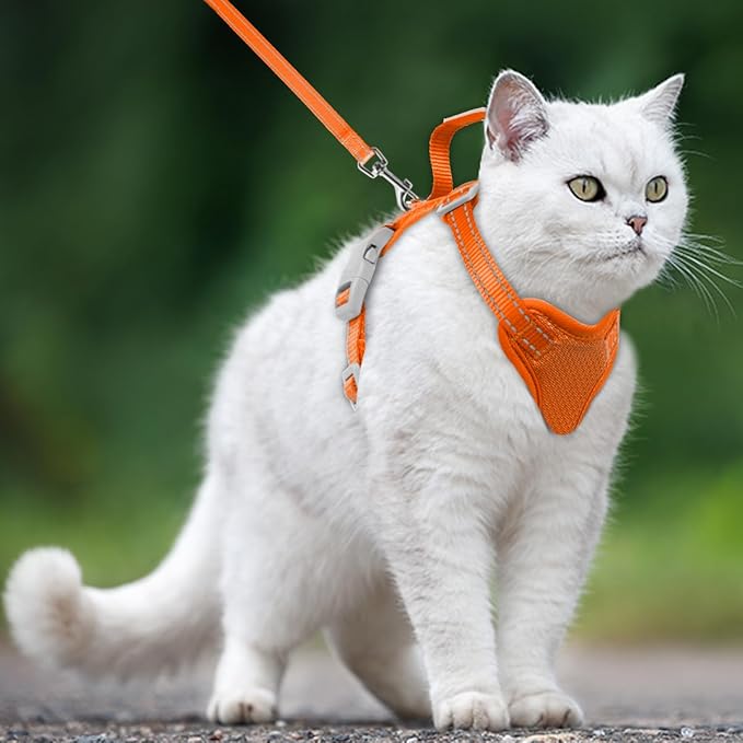 Cat Harness and Leash Set Escape Proof for Kitten Walking, Soft Adjustable Top Handle Vest Harnesses for Cats, Easy Control Breathable Reflective Small Medium Large, Orange, M
