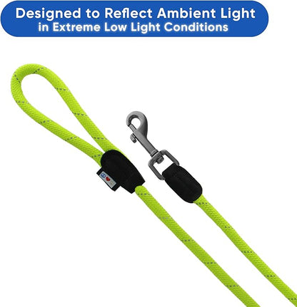 Pawtitas Double Leash for Two Dogs Great for Walking & Training Comfortable Shock Absorbing Reflective Pet Rope Leash for 2 Dogs 6ft - Medium/Large - Green