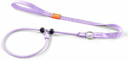 Howgo Dog Slip Lead Dog Leash, Training Leash, No-Pull Lightweight Slip Lead and Collar, Heavy Duty & Durable, Padded Handle, for All Breeds (Lavender, 3.6FT)