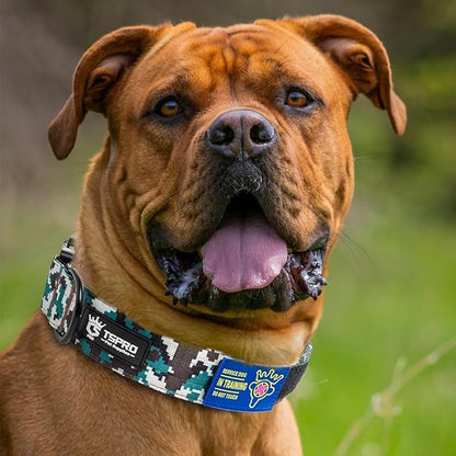 TSPRO Premium Dog Collars Tactical Dog Collar with Patch and Heavy Duty Quick-Release Metal Buckle Durable Thick and Adjustable for Medium to Large Dogs (Camo Cyan L)