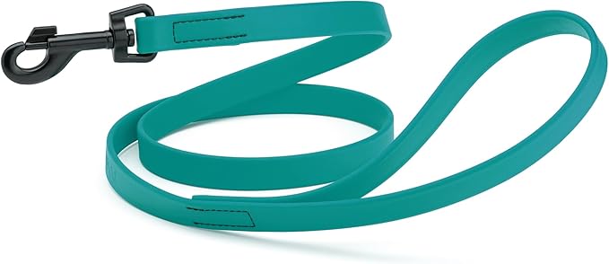 Dogline Biothane Waterproof Dog Leash Strong Coated Nylon Webbing with Black Hardware Odor-Proof Easy to Clean High Performance for Small or Large Dogs Made in USA 4 or 6 ft Lead, Blue Aqua