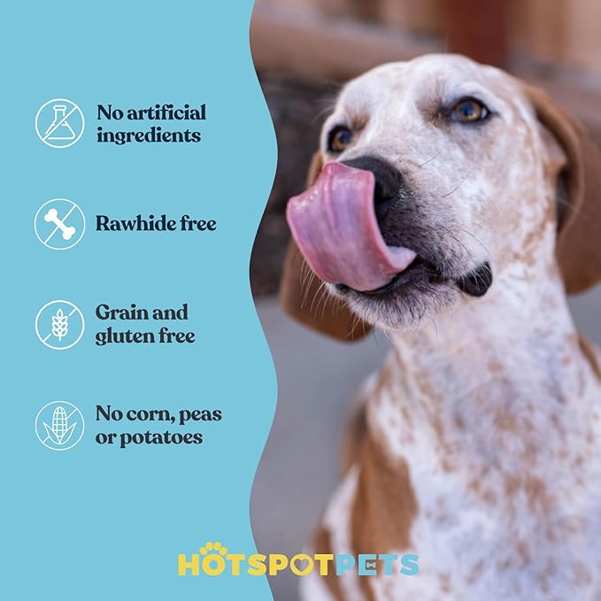 hotspot pets Beef Tendon Chews for Dogs (10 Pack) - Made in USA - 8 Inch All Natural, Free-Range, Grass-Fed Premium USDA Gambrol Beef Tendon Stick Treats, Great for Joint Health