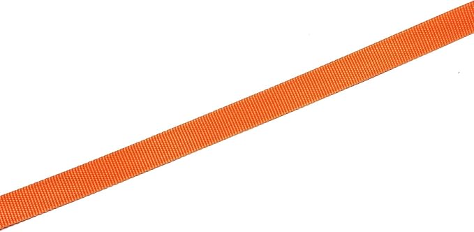 Nylon Dog Leash 10 Feet Long, Walking Training Dog Leashes for Medium Large Dogs, 1 Inch Wide (Orange)