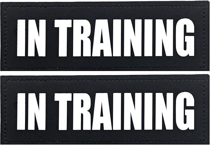 2Pack Service Dog Patches, Removable Vest Patch for Dogs, Dog Harness Patches with Hook Backing, Black, in Training-L