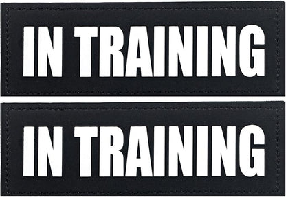 2Pack Service Dog Patches, Removable Vest Patch for Dogs, Dog Harness Patches with Hook Backing, Black, in Training-L