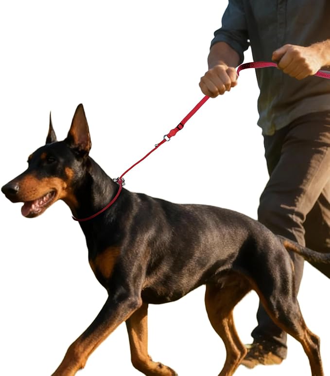 EVERKING Slip Lead Dog Leash,No-Pull Slip Training Leash and Collar,6FT Nylon Material Heavy-Duty and Durable,with Comfortable Padded Handle,Suitable for All Dogs (Red(4.9-5.9FT-Metal Buckle))