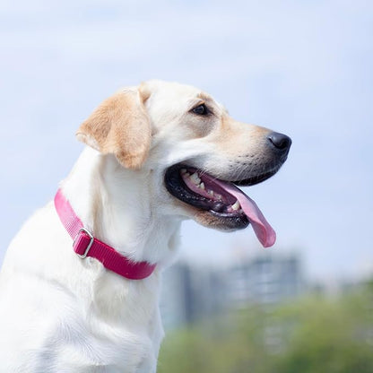 Hyhug Medium Dog Collar:Heavy-Duty Quick-Release Nylon Buckle, Adjustable & Durable, Cute Dog Collar (Medium, Rose Red)