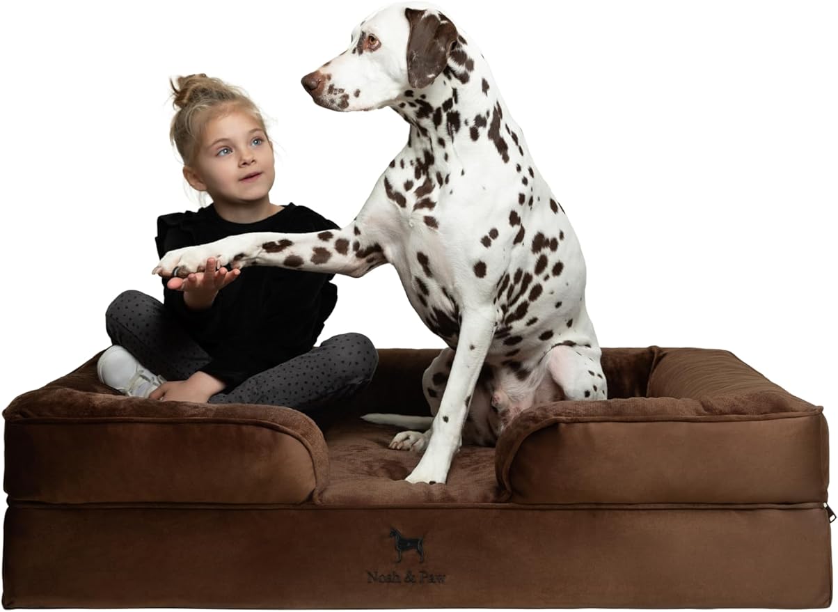 NOAH & PAW XL Dog Bed, 45x35x11 Inch, Orthopedic Large Dog Beds, Eggshell Memory Foam Infused with Cooling Gel, Inner Cover, Waterproof, Machine Washable (Velvet Sofa Collection)