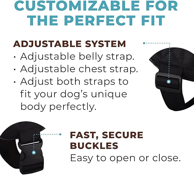 Luxe Joyride Harness for Dogs, No-Pull Pet Harness, Made in The USA, 3 Upgraded Side Rings, Adjustable Pet Vest, Easy On-Off and Improved Control Handle, Training, Walking, Running