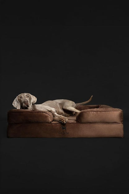 NOAH & PAW XL Dog Bed, 45x35x11 Inch, Orthopedic Large Dog Beds, Eggshell Memory Foam Infused with Cooling Gel, Inner Cover, Waterproof, Machine Washable (Velvet Sofa Collection)