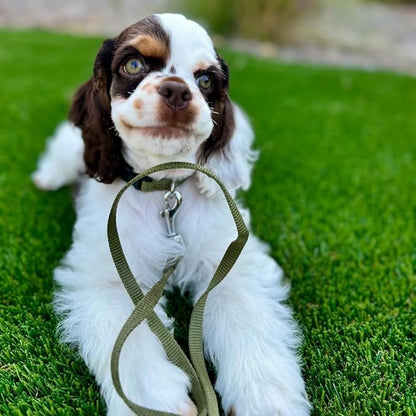 Blueberry Pet Essentials Military Green Dog Leash for Medium - 5' * 3/4" Dogs | Heavy Duty Nylon Lead | Lightweight Puppy & Cat Leash for Walking & Training