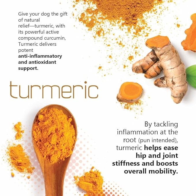 Joint MAX TS Joint Supplement Vet Formulated Pain & Inflammation Relief Treats Hip Dysplasia & Arthritis.Glucosamine, Chondroitin, Turmeric, MSM, HA, Creatine, Omega 3 EPA+DHA. All Dogs 240 Soft Chews