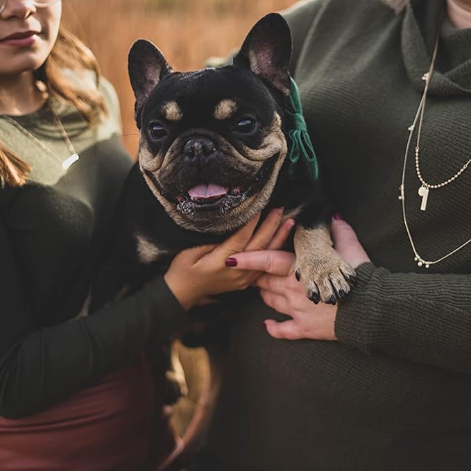 ARING PET Dog Collars with Bowtie-Velvet Dog Bow tie Collar, Adjustable Dark Green Dog Collar