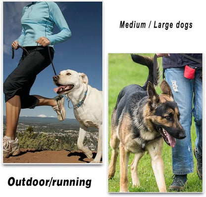 LWBMG Leather Dog Leash - 6ft x 1 inch, Heavy Duty, Braided, Comfortable for Large, Medium & Small Dogs