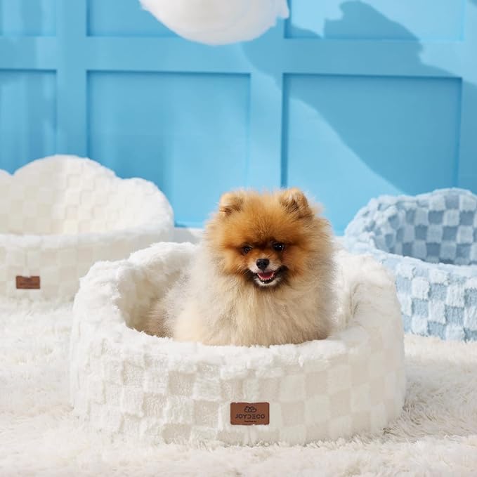 Joydeco Cloud Dog Bed for Small Dogs & Cats, Washable Pet Bed with Orthopedic Foam and Removable Checkered Plush Pad, Non-Slip Bottom for Indoor Puppies and Kittens, 22x20 Inch, White