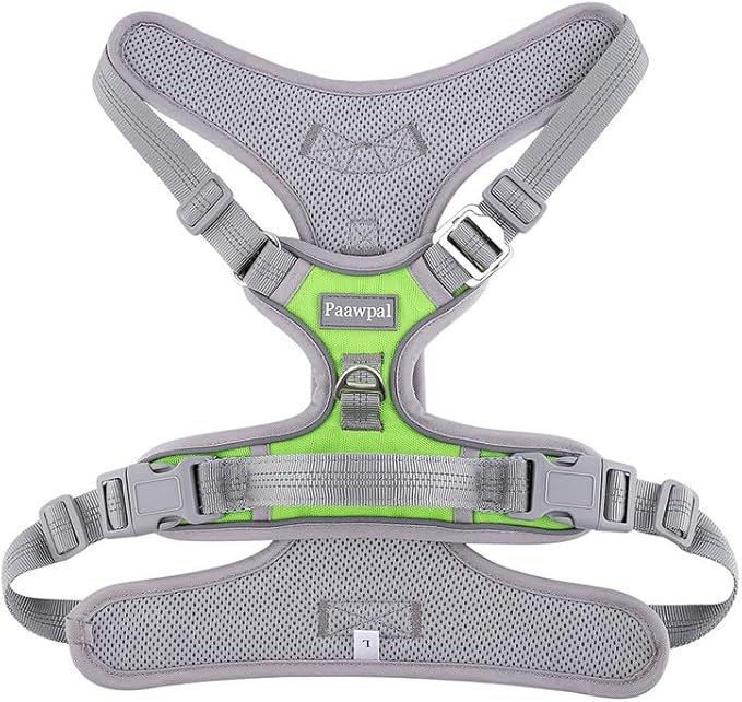 Paawpal Adjustable Dog Harness - No Pull, Reflective, Soft Padded for Small, Medium, Large Dogs - Includes Leash Green L