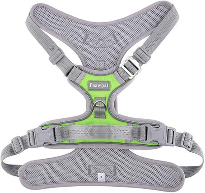 Paawpal Adjustable Dog Harness - No Pull, Reflective, Soft Padded for Small, Medium, Large Dogs - Includes Leash Green L