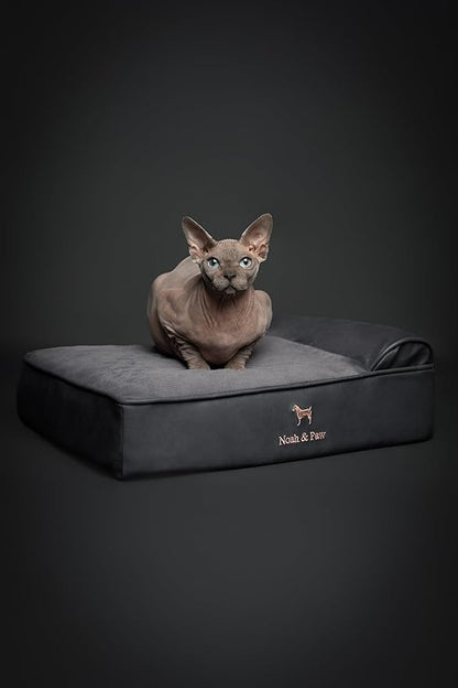 NOAH & PAW Small Dog Bed, 20x15x6.5 Inch, Cat Bed for Indoor Cats, Orthopedic Eggshell Memory Foam Infused with Cooling Gel, Waterproof, Machine Washable, Includes Inner Cover (Faux Leather)