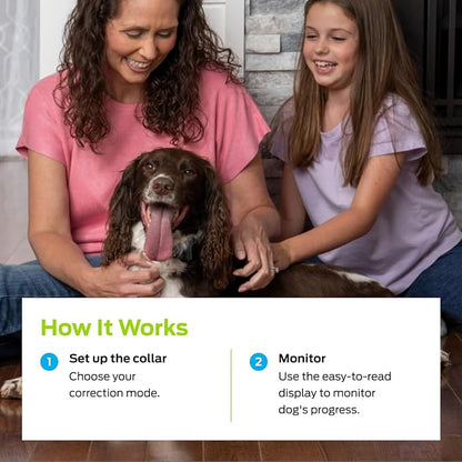 Premier Pet Dog Bark Collar- Waterproof - Rechargeable Digital Bark Collar Anti Barking Collar with 5 Adjustable Sensitivity Levels Dogs