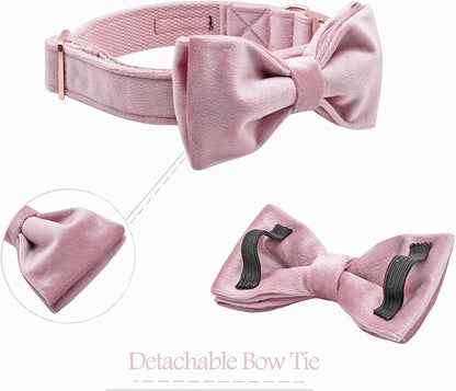 ARING PET Velvet Dog Collars with Bow tie, Bowtie Dog Collar, Cute Pink Collar for Girl and Boy Dogs,X-Large.