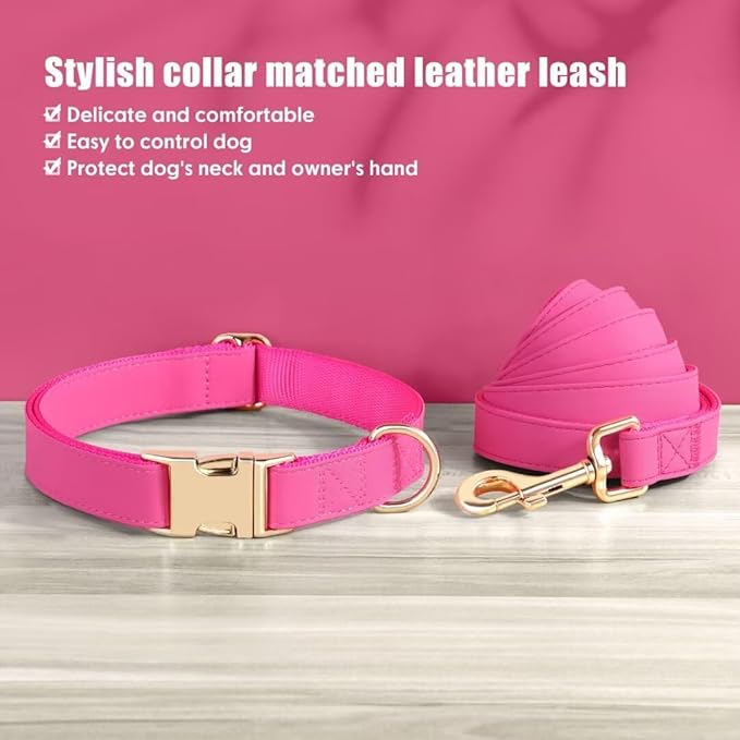 PET ARTIST Soft PU Leather Dog Collar and Leash Set, Bright & Stylish 5FT PU Leather Leash and Collar Set, Durable Pet Collars with Quick Release Metal Buckle for Medium Dogs,Hot Pink,M(13-19")