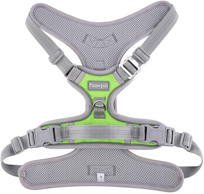 Paawpal Adjustable Dog Harness - No Pull, Reflective, Soft Padded for Small, Medium, Large Dogs - Includes Leash Green XL