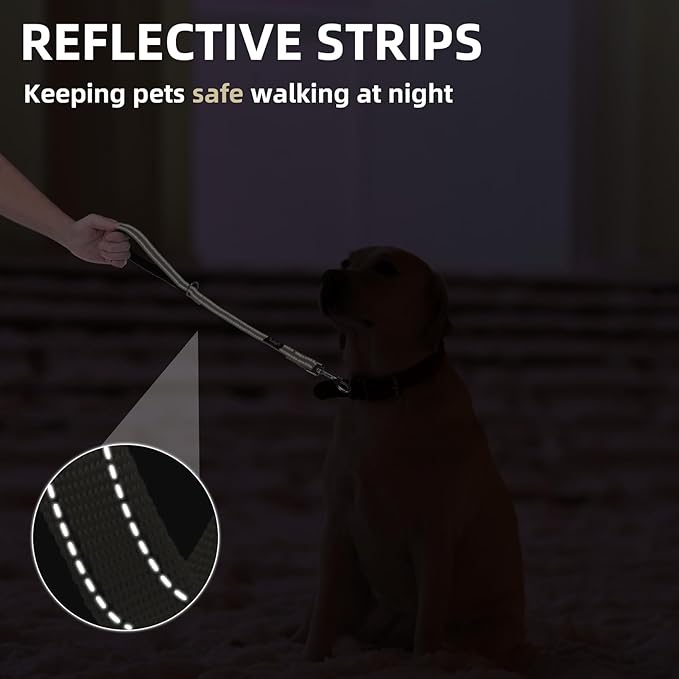 PUPTECK Reflective Dog Leash with Comfortable Padded Handle Durable Nylon Dog Lead for Small Medium and Large Dogs Cats Walking Running Training Outside, Beige