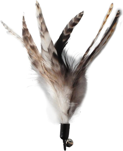 EcoCity Cat Toys - No Chemical Dyeing Cat Feather Toys for Indoor Cats - Include Cat Wand and Natural Feather Refills