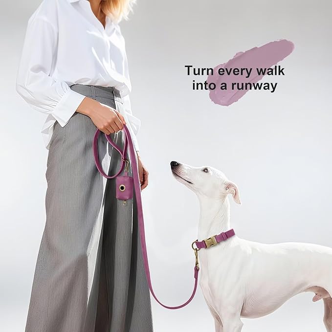 Didog Stylish PU Leather Dog Leashes for Medium Dogs, Easy to Clean 5ft Dog Leashes for Large Dogs, Fashionable and Elegant for Walking, Running and Training,Purple, M