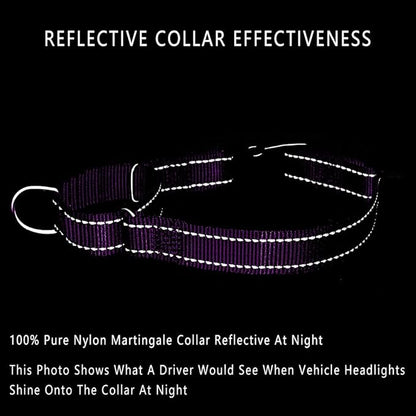 PLUTUS PET Reflective Martingale Collar with Quick Snap Buckle,No Pull Dog Choker Collar for Small Medium Large Dogs,L,Purple