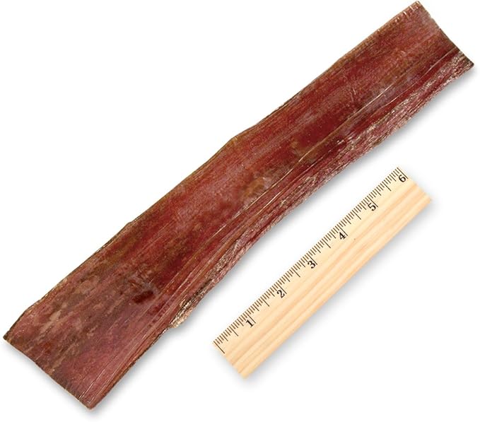 GigaBite Single Ingredient All Natural Free Range Bully Treats and Chews - Bully Sticks/Bladder Sticks/Beef Esophagus by Best Pet Supplies - Esophagus Strips (10 inch), Pack of 10