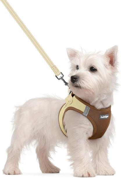rabbitgoo Dog Harness Small Sized and Leash Set, Step in Soft Light Puppy Vest, Breathable Mesh Pet Harness, Reflective for Safe Easy Walking, Brown & Beige S