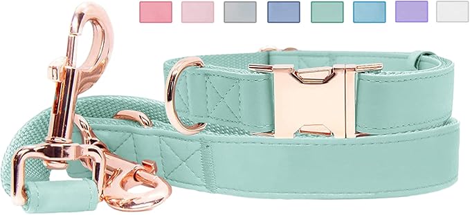 Soft Leather Dog Collar and Leash (6.6') Set - Stylish Rose Gold Heavy Duty Metal Buckle, 4 Adjustable Lengths Leash for Small Medium Large Dogs - Comfortable & Easy to Clean Mint Green L(15.4"-24.8")