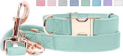 Soft Leather Dog Collar and Leash (6.6') Set - Stylish Rose Gold Heavy Duty Metal Buckle, 4 Adjustable Lengths Leash for Small Medium Large Dogs - Comfortable & Easy to Clean Mint Green L(15.4"-24.8")