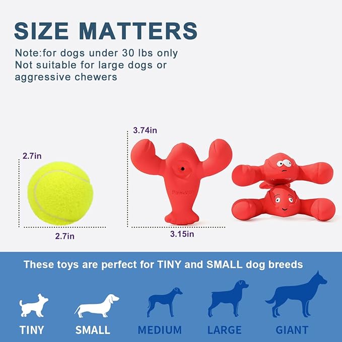 Pawdoer Squeaky Dog Toys, Soft Latex Rubber Squeaky Ball for Small Dogs Puppies, Cute Bounce Squeak Lobster Pet Dog Toy