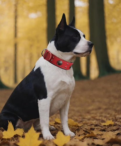Leather Dog Collar, 2 inches Wide Heavy Duty Genuine Leather Collars, Handmade, Soft, and Luxury, Eye-catching Best Choice for Large and Medium Breed Dogs, Red 18.5-22.5 in