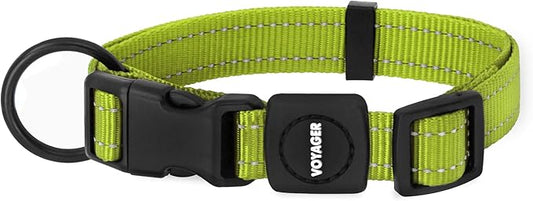 Best Pet Supplies Voyager Reflective Dog Leash or Collar with Neoprene Handle, for Small, Medium, and Large Breed Puppies, Cute and Heavy Duty for Walking, Running and Training - Lime Green, L