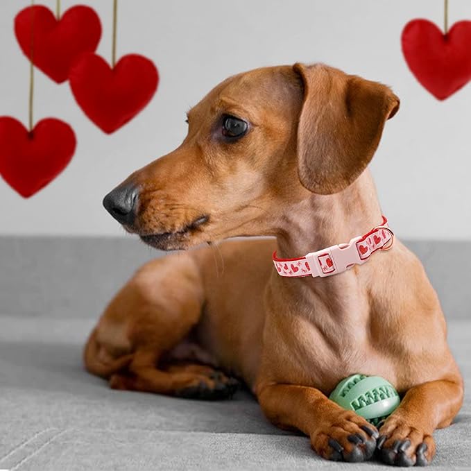 azuza Valentine's Day Dog Collar and Leash Set, Adjustable Pink Dog Collar with Sparkly Red Hearts Matching Leash Valentines Day Gifts for Large Dogs