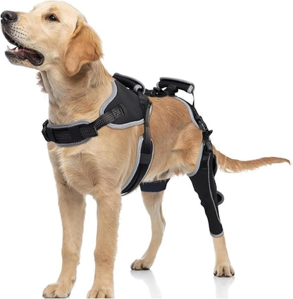 Dog Knee Brace for ACL/CCL Injuries,Torn Ligament,Pain Relief,Joint Warmth,Luxating Patella - Rear Leg Support,Black,Upgraded,Left Legs,(Size:L)