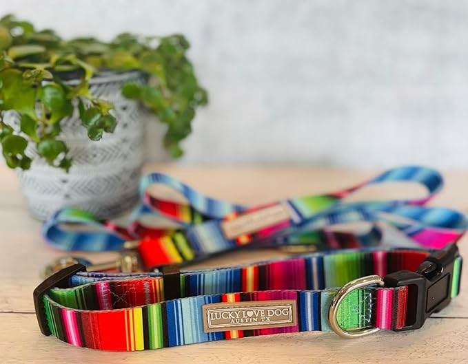 Lucky Love Dog Leash, Colorful Striped Dog Leash for Small Dogs, Durable & Long Lasting, (Nacho, Small)