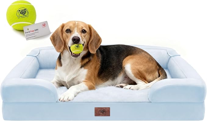 Orthopedic Dog Beds for Large Medium Dogs, Big Waterproof Memory Foam Pet Couch Bed with Removable Washable Cover, Tennis Ball Toy, 36x27