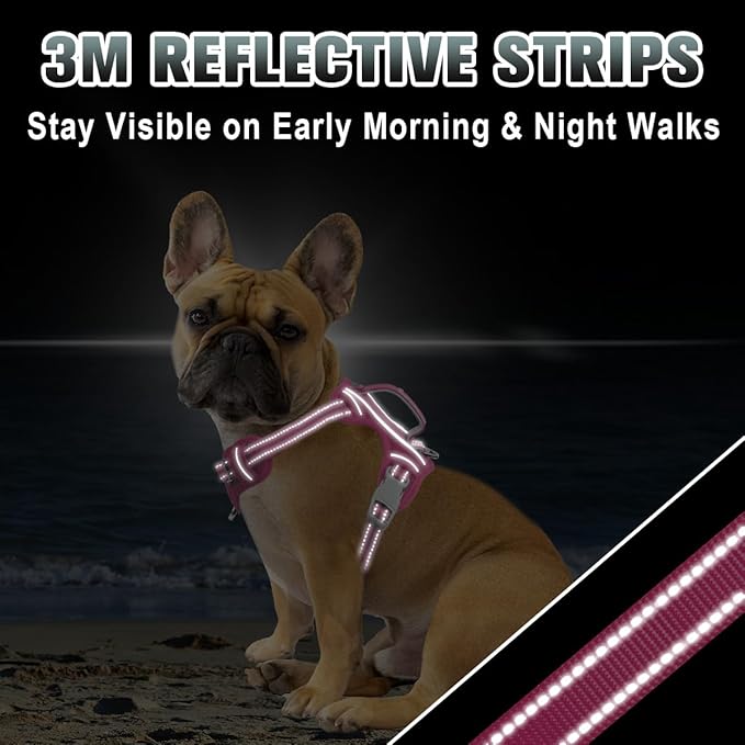 BARKBAY No Pull Dog Harness Large Reflective Dog Harness with Front Clip and Easy Control Handle for Walking Training Running with ID tag Pocket(Pink,XS)